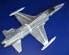 Fujimi 1/48 scale F-5A Freedom Fighter by Triet Cam: Image