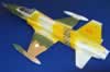 Fujimi 1/48 scale F-5A Freedom Fighter by Triet Cam: Image